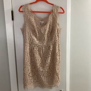 Joie Lace cocktail worn once EUC